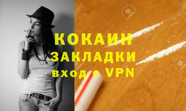 spice Новозыбков