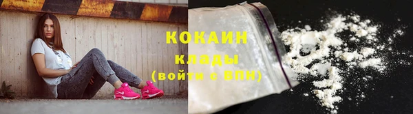 стаф Новодвинск