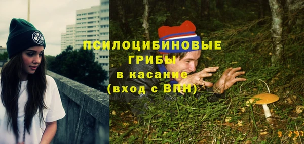 spice Новозыбков