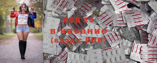 стаф Новодвинск