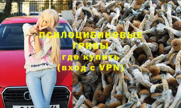 spice Новозыбков