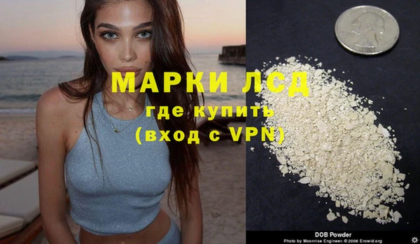 spice Новозыбков