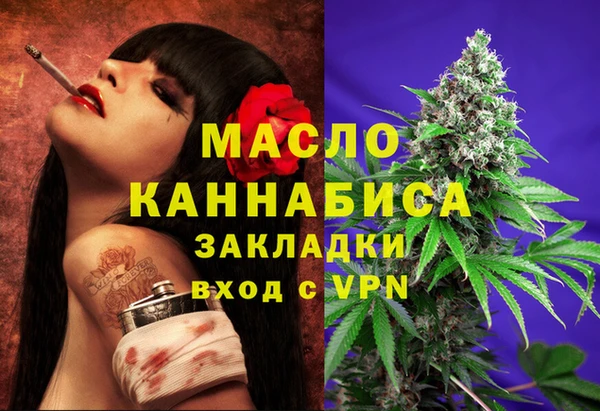 стаф Новодвинск