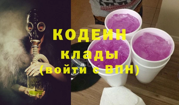 стаф Новодвинск