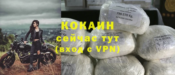стаф Новодвинск