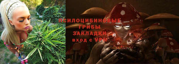spice Новозыбков