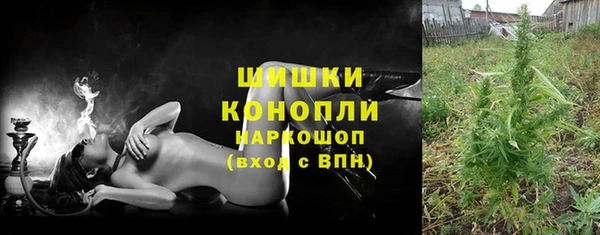 spice Новозыбков