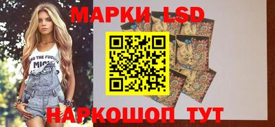 винт Новозыбков