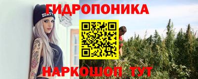 apvp Кандалакша