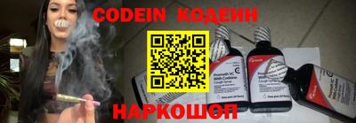 jwh Камышлов