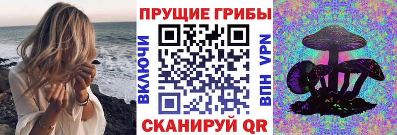 Галлюциногенные грибы мухоморы  как найти   Кинель 